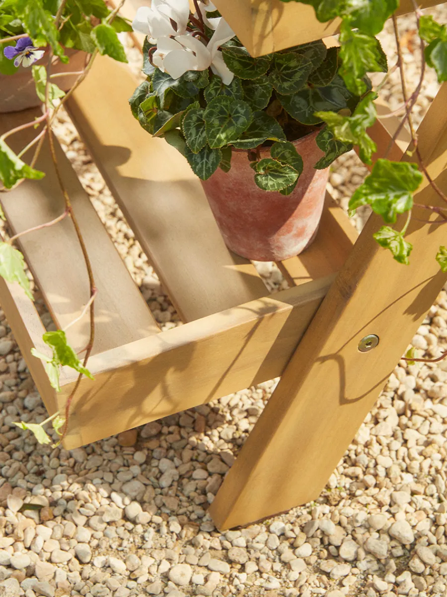 Cox & Cox Plant Pots & Troughs<Acacia Plant Stand