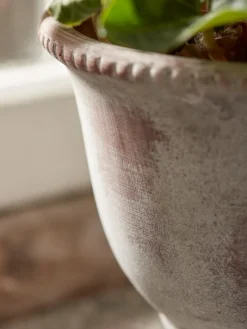 Cox & Cox Indoor Planting<Aged Effect Ceramic Planter