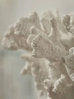 Cox & Cox Ornaments<Faux Coral