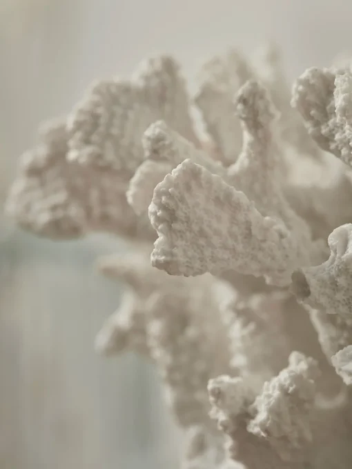 Cox & Cox Ornaments<Faux Coral