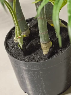 Cox & Cox Faux Potted Plants|Faux Plants & Flowers<Faux Potted Palm Tree