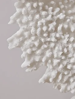 Cox & Cox Ornaments<Faux Standing Coral - Tall