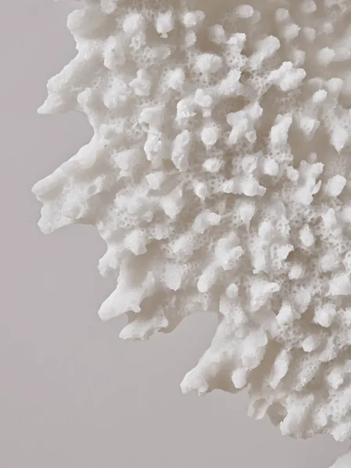 Cox & Cox Ornaments<Faux Standing Coral - Tall
