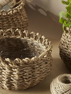 Cox & Cox Indoor Planting<Four Decorative Seagrass Planters