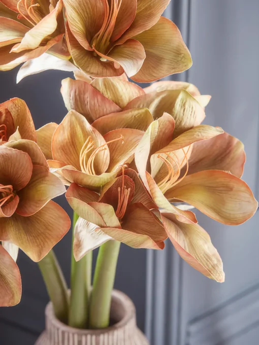 Cox & Cox Faux Stems|Faux Plants & Flowers<Three Amaryllis Stems