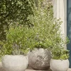 Cox & Cox Plant Pots & Troughs<Three Bowl Planters - Sand