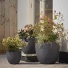 Cox & Cox Plant Pots & Troughs<Three Celano Planters