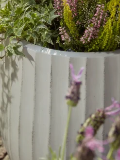 Cox & Cox Plant Pots & Troughs<Three Dove Grey Fluted Planters - Large