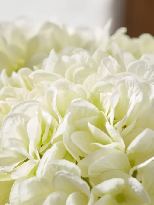 Cox & Cox Faux Stems|Faux Plants & Flowers<Three Faux Hydrangea Stems - Cream