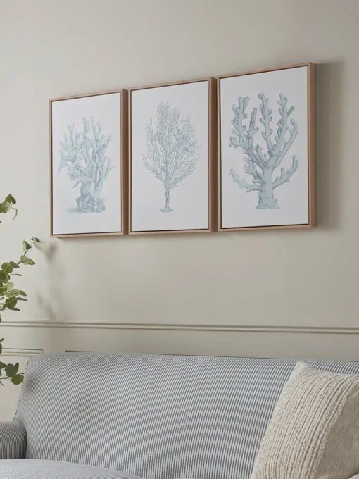 Cox & Cox Wall Art<Three Framed Coral Canvases