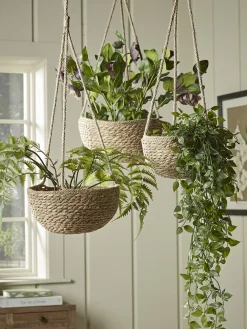 Cox & Cox Indoor Planting<Three Seagrass Hanging Planters
