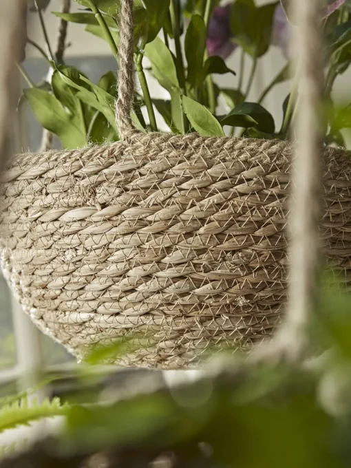 Cox & Cox Indoor Planting<Three Seagrass Hanging Planters