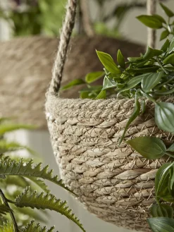 Cox & Cox Indoor Planting<Three Seagrass Hanging Planters