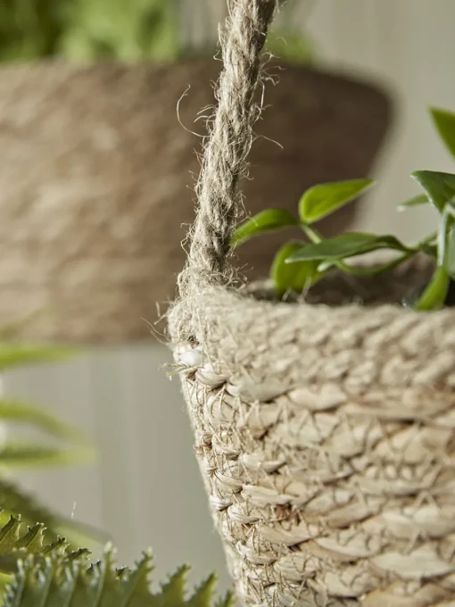 Cox & Cox Indoor Planting<Three Seagrass Hanging Planters