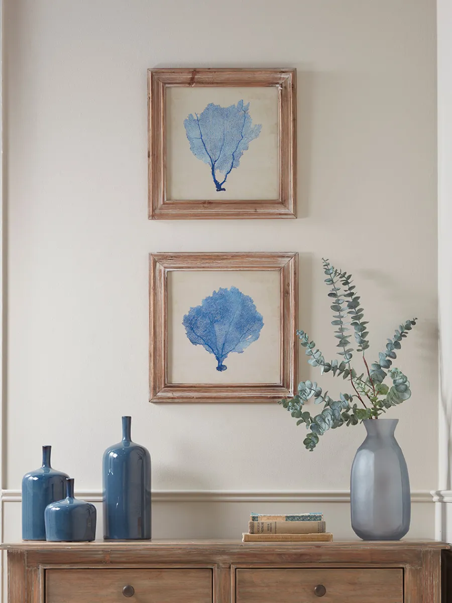 Cox & Cox Wall Art<Two Blue Coral Framed Prints