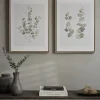 Cox & Cox Wall Art<Two Framed Eucalyptus Prints
