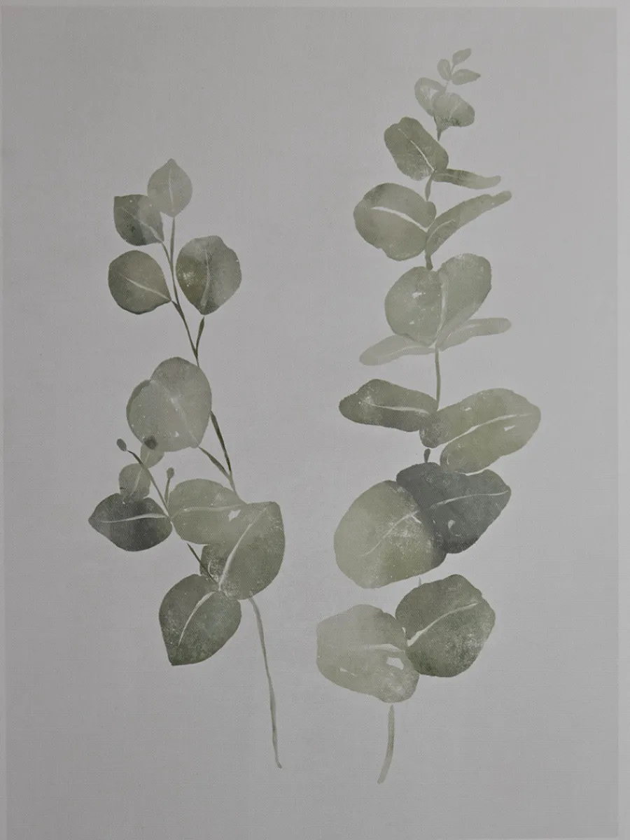 Cox & Cox Wall Art<Two Framed Eucalyptus Prints