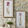 Cox & Cox Wall Art<Two Iris Framed Prints