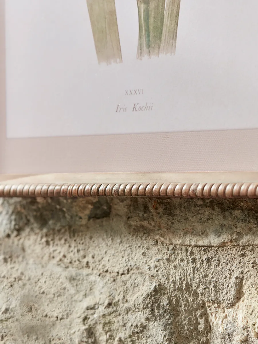 Cox & Cox Wall Art<Two Iris Framed Prints